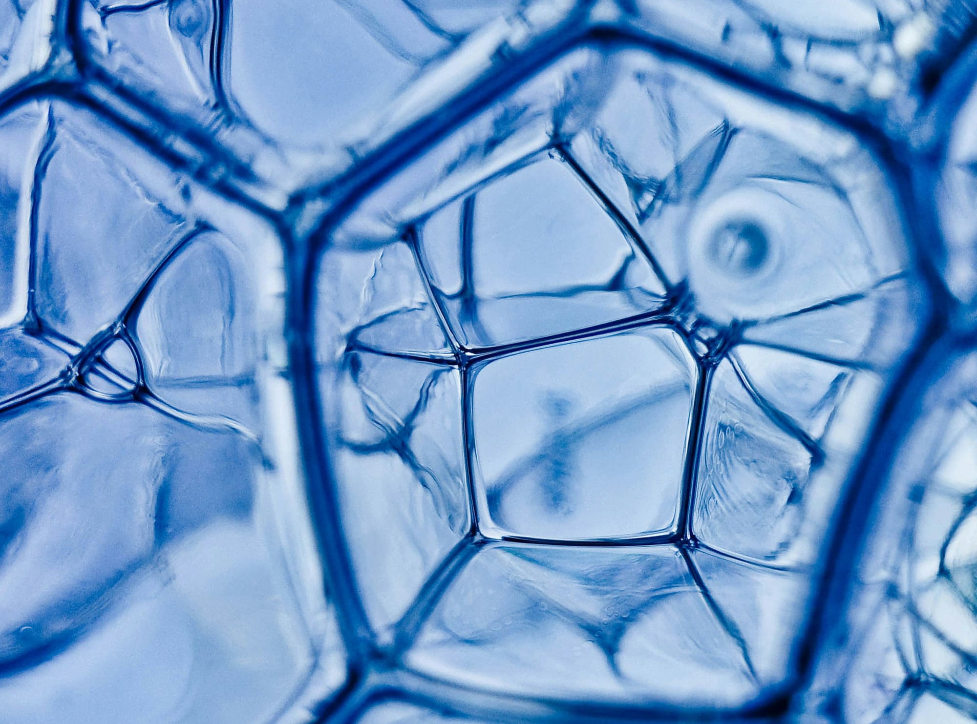 PFAS cleaning - daniele levis pelusi tL IIeMc5Xo unsplash copy 1